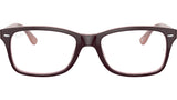 RB5228 Optics 8120