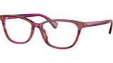 RA7133U 5984 Striped Brown Purple