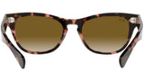 Laramie RB2201 133451 pink havana