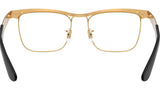 RB3875V Optics 3191