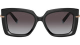 TF4199 80013C Black