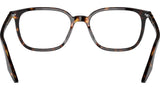 RB5406 Optics 2012