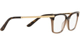 DG 3345 3256 tortoise
