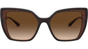 DG 6138 318513 tortoise