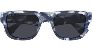 GG2009S 002