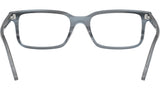 RB5445 Optics 8456