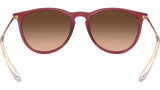 Erika RB4171 6815A5