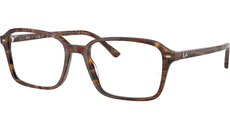 Raimond Optics RB5431 8395