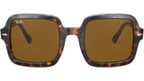 RB2188 havana