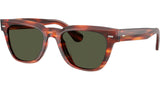 Rueny OV5601SU 179952