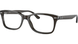 RB5428 Optics 8299