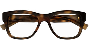 SL 677 003 Shiny Tortoise