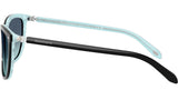 TF4105HB 81939S Black