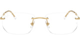 RB3768V Optics 2500