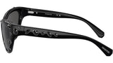 SK6007 100187