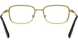 RB6495 Optics 2991