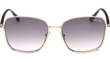 Fern FT1029 28B