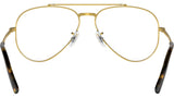 New Aviator Optics RB3625V 3086