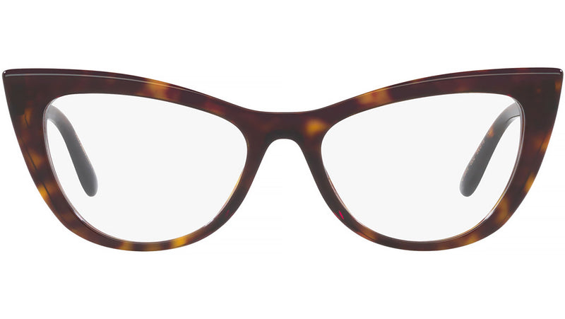 DG 3354 502 tortoise