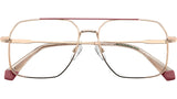 PLD D554 EYR
