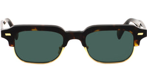 RAY Tortoise