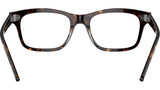 Mr Burbank Optics RB5383 2012