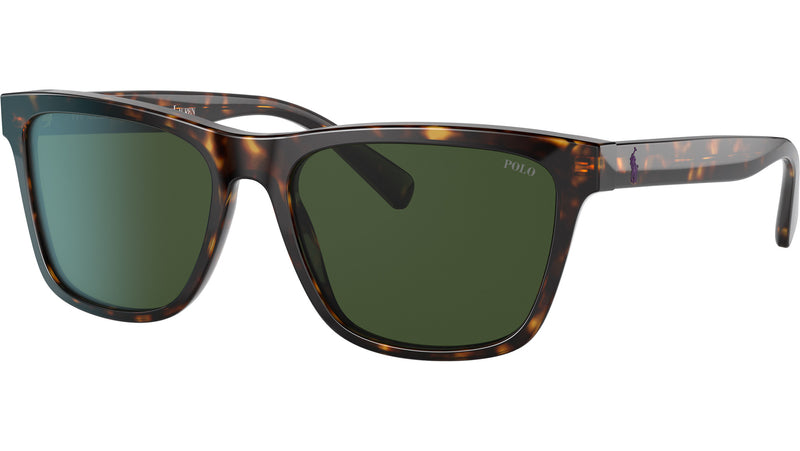 PH4167 500371 Dark Havana Wimbledon