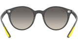RB4296M F60811 matte grey