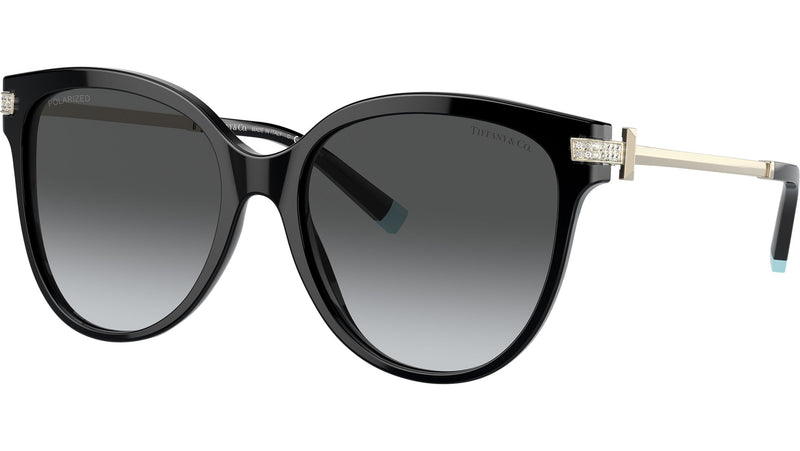 TF4193B 8001T3 Black