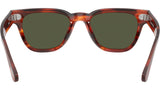Rueny OV5601SU 179952