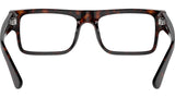 PR A01V 17N1O1 Tortoise