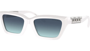 TF4213 83929S Bright White