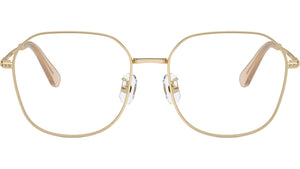 SK1009D 4013