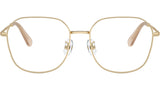 SK1009D 4013