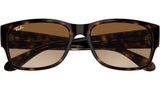 RB4388 710/51 Tortoise