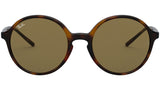 RB4304 710/73 light havana