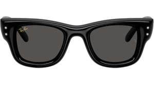 Wayfarer Puffer RB4940B 686487