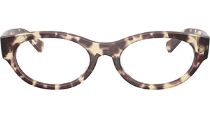 RB5447 Optics 8459