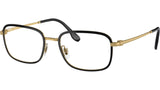 RB6495 Optics 2991