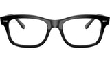 Mr Burbank Optics RB5383 2000