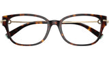 TF2262 8015 Havana