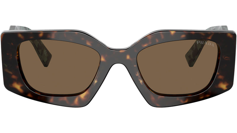 PR 15YS 2AU06B tortoise