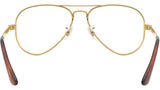 Aviator Max Optics RB3925V 2500