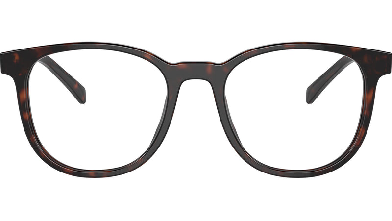 PR A15V 17N1O1 Tortoise