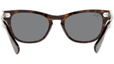 Laramie RB2201 902/B1 tortoise