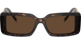 TF4197 80153G Havana