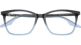 RB5422 Optics 8309