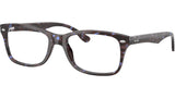 RB5228 Optics 8424
