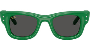 Wayfarer Puffer RB4940B 685987