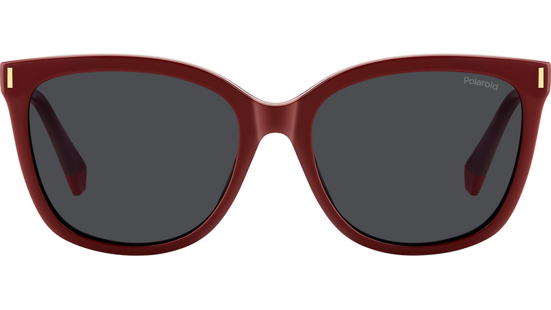 PLD 6229/CS C9A M9 Clip